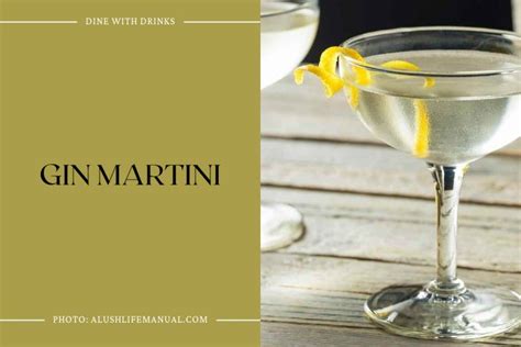 15 Gin Vermouth Cocktails to Shake Up Your Happy Hour! | DineWithDrinks