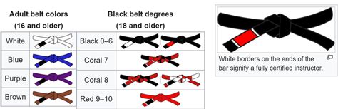 How do Jiu Jitsu Belts Work? | Ronin Athletics | Blog at RoninAthletics