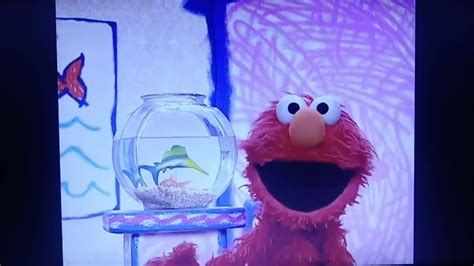 Elmo's World Dorothy's Fish Question - YouTube