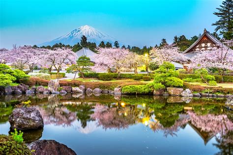 radikal råolie ryste japan nature Armstrong Forøge Emuler