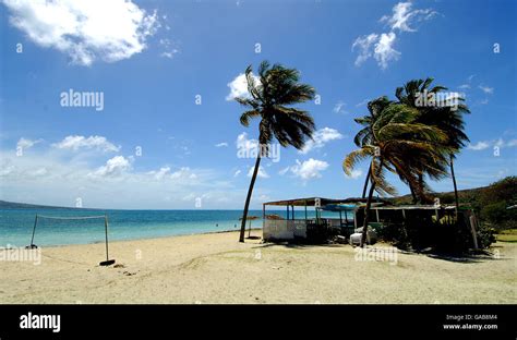 Cockleshell Bay beach bar, St Kitts Stock Photo - Alamy