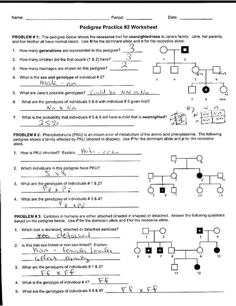 Genetics Problems Worksheet Answer Key – Zip Worksheet