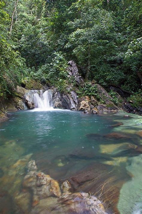 Aripo waterfall. Photo by Ariann Thompson/MEP PublishersTrinidad. Photo ...