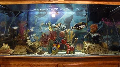 150 gallon saltwater aquarium custom setup "Living Art" - YouTube