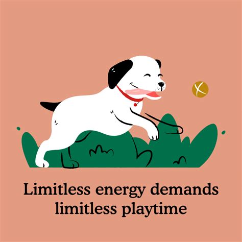 50+ Puppy & Dog Training Games for Any Scenario - Zigzag