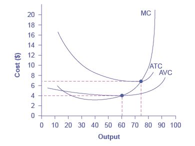 Average Fixed Cost Graph