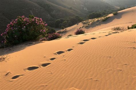 How to get to Lemnos, Greece | Greeka