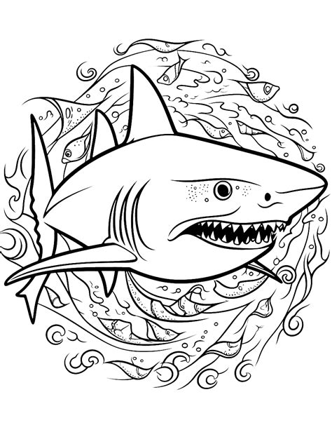 Shark Pictures To Coloring Pages