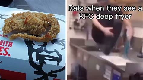 KFC Deep Fried Rat / Rats When They See A KFC Deep Fryer | Know Your Meme