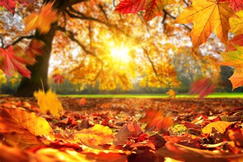 What is Autumn Equinox and why does it happen?