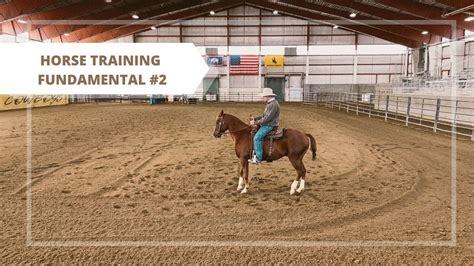 Horse Training - Fundamental #2 - YouTube