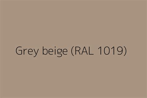 Grey beige (RAL 1019) Color HEX code