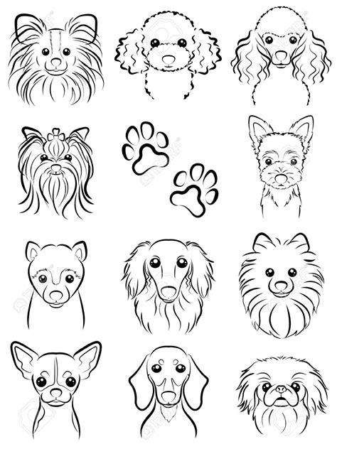 Yorkie Line Drawing at GetDrawings | Free download