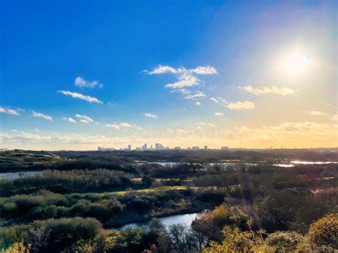 The Hague Skyline and Dunes Over a Blue Sky Stock Photo - Image of ...