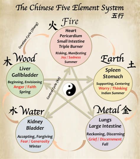 Five-Elements | Chinese medicine, Traditional chinese medicine, Tcm ...