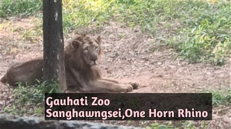 Gauhati Zoo ah SakeiBaknei, Sanghawngsei, Sakmak, One Horn Rhino kan va ...