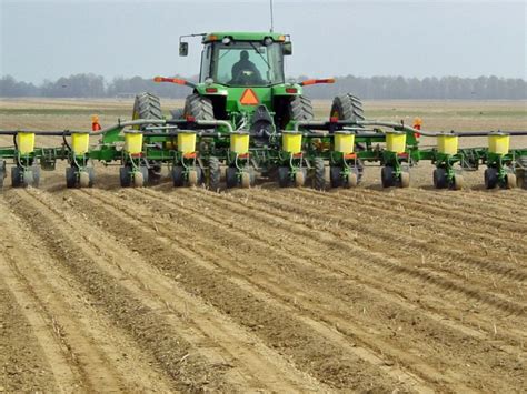 Producers to plant more corn, soy acres this year but below trade ...