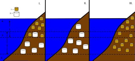 Fundamental Niche And Realized Niche - astonishingceiyrs