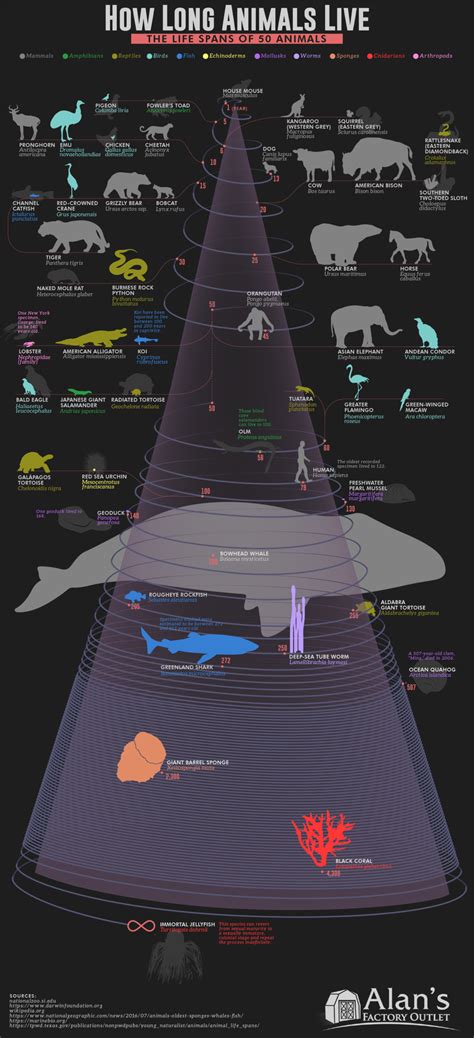 Infographic : How Long Animals Live: The Life Spans of 50 Animals ...