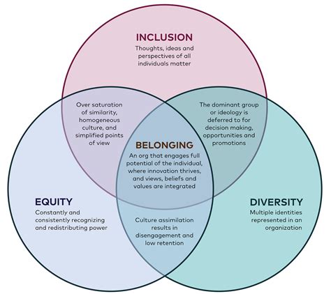 Belonging: A Conversation about Equity, Diversity, and Inclusion | by ...