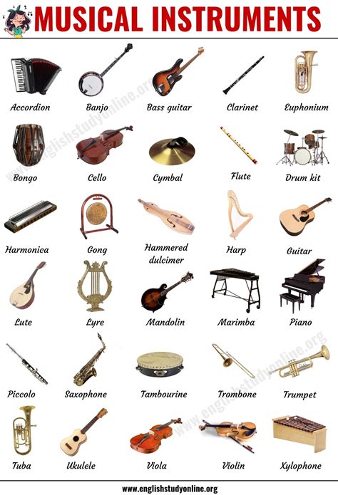 Musical Instruments: List of 30 Popular Types of Instruments in English ...