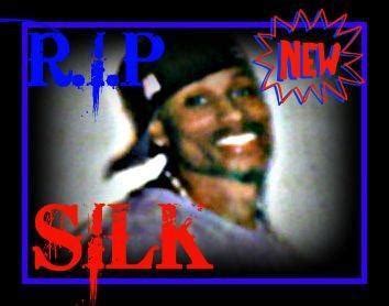 “Rest in peace to Silk from Ada Park dat was da older me🙏🏾” : r/Chiraqology