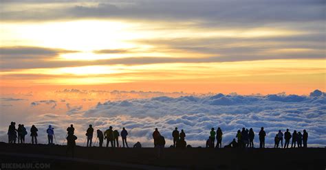 Volunteering at Haleakala National Park