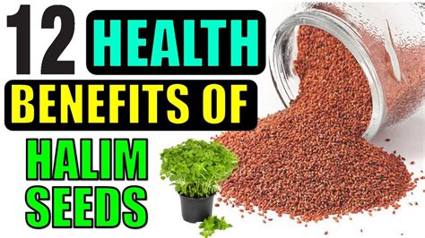 12 Health Benefits of Halim (Garden Cress) Seeds - YouTube