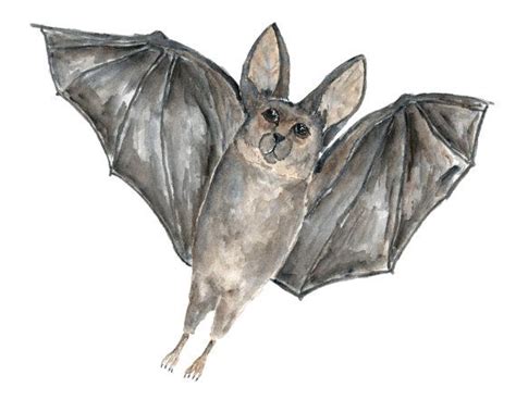 Original watercolor bat painting titled Batty Bat This little guy would ...