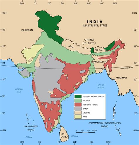 Write the name of the soils that are marked on the outline map of India.