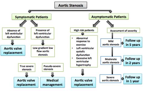 Stenosis: Guidelines Aortic Stenosis