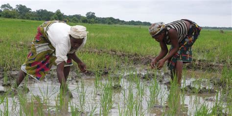 Agricultural investment and the growing food insecurity in Nigeria ...