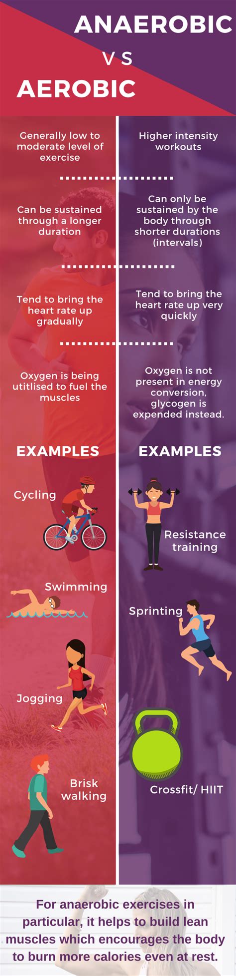 Aerobic vs Anaerobic - Fitivate