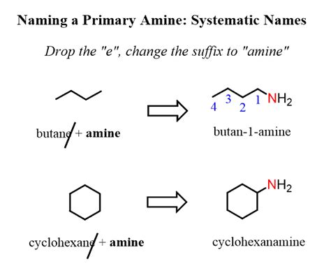 Naming Amines: Systematic and Common Nomenclature - Chemistry Steps