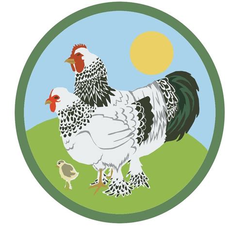 Poultry Farm Chicken Shop Logo Design | Technology And Information Portal