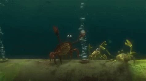 Crabs Shoo GIF - Crabs Shoo Finding Nemo - Discover & Share GIFs