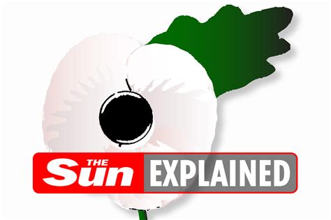 What does a white poppy mean for Remembrance Day? – The US Sun | The US Sun