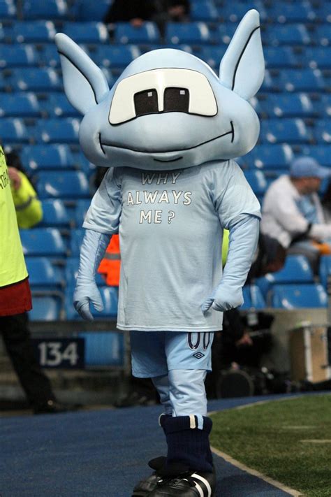 This season's Premier League mascots ranked