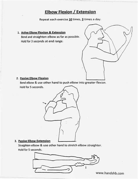 HB Hands: Elbow Flexion / Extension | Home exercise program, Elbow ...