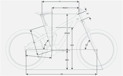 Biking 101: Bike Fit & Geometry — Part 1 | Blister