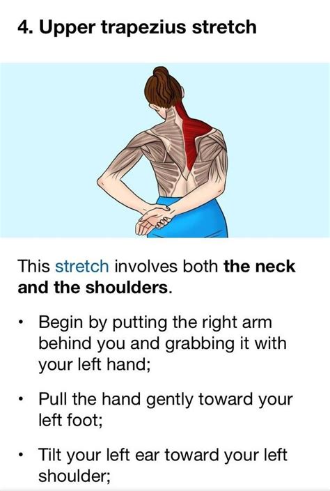 Pin by Katrin on fitness & health | Neck exercises, Health, Massage therapy