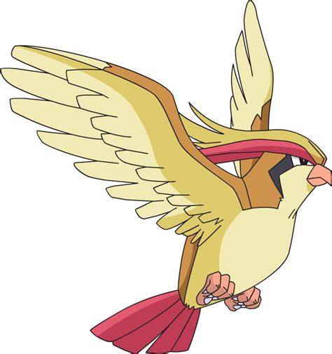 Pidgeot (ピジョット, Pigiotto) is a dual Normal/Flying-type Bird Pokémon ...