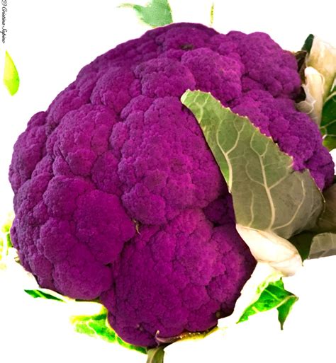 Purple Cauliflower – Peas & Peace TM