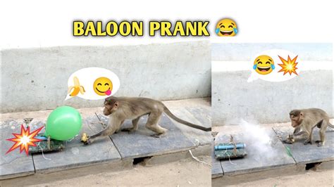 BALLOON PRANK VIDEOS #funny #baloonprank #bandar - YouTube