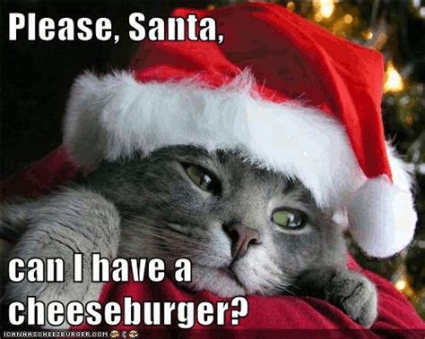 Grammar Catz: Grammar Cat #126: Christmas Cat