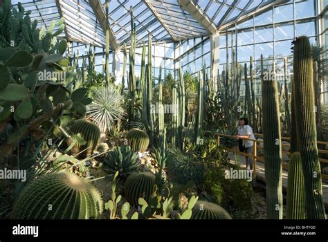 Palmengarten, botanical garden in Frankfurt, Tropicarium and skyline of ...