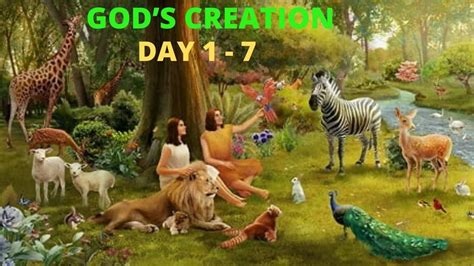 God's Creation : Day 1-7 | Creation story, Days of creation, 7 days of ...