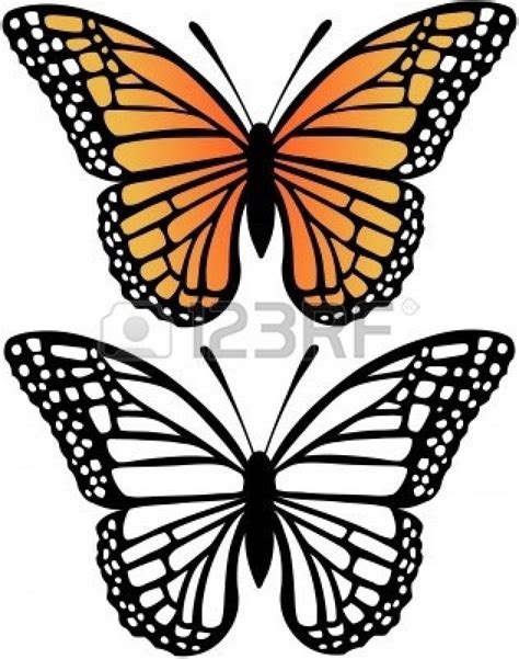 Butterfly Clipart Black And White Side - Side View Of Beautiful Monarch ...