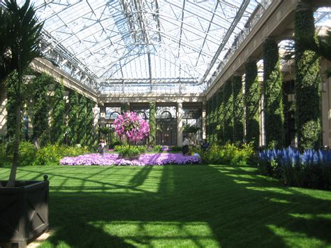 the inside of a building with lots of plants and flowers