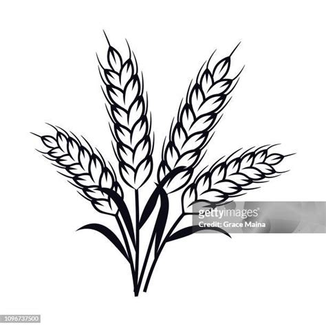 Sheaves Of Wheat Clipart